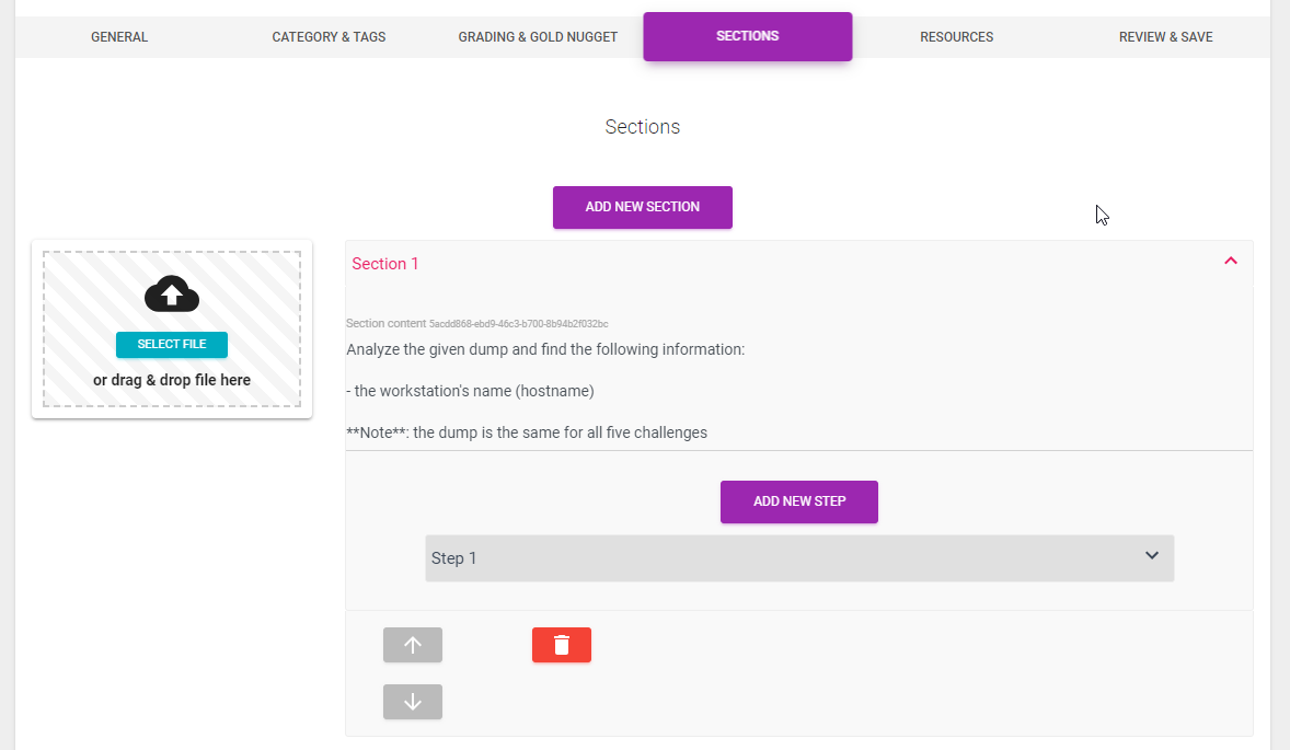 Challenge Editor - Sections